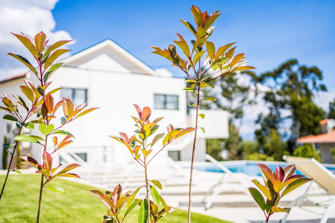 Casas Da Padaria Villa Celorico De Basto Kültér fotó